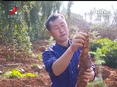 三农要闻20211105