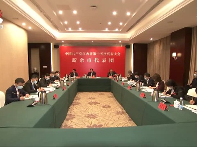 【作示范 勇争先 奋力书写精彩华章】尹建业参加新余代表团讨论
