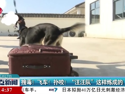 搜毒！飞车！扑咬！“汪汪队”这样炼成的