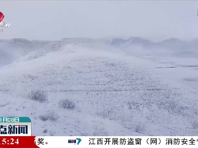 800多只羊被大雪围困 民警救援护牧