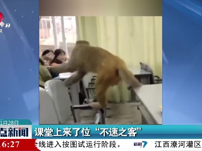 课堂上来了位“不速之客”