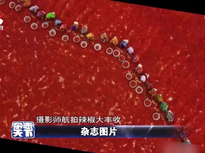 杂志天下20211116