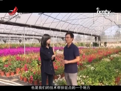 稻花香里20211109 小康路上追梦人——三角梅安全过冬秘笈