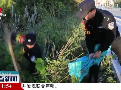 浮梁县又铲除一批加拿大一枝黄花