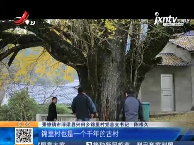 【赣闻天下】景德镇浮梁：千年银杏树 身披黄金甲