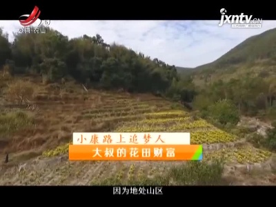 稻花香里20211103 小康路上追梦人——大叔的花田财富