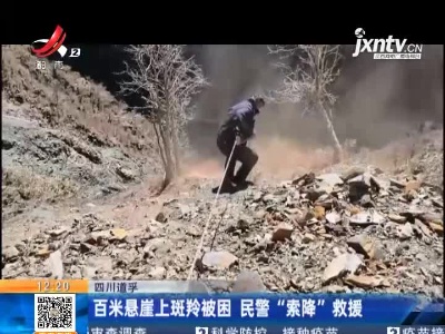 四川道孚：百米悬崖上斑羚被困 民警“索降”救援