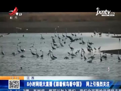 江西：8小时网络大直播《跟着候鸟看中国》网上引强烈关注