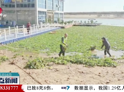 “水葫芦”流入赣江南昌段 相关部门积极应对