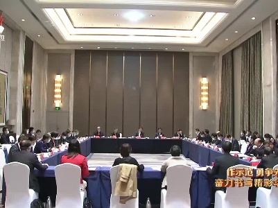 【作示范 勇争先 奋力书写精彩华章】陈兴超参加省直代表团讨论