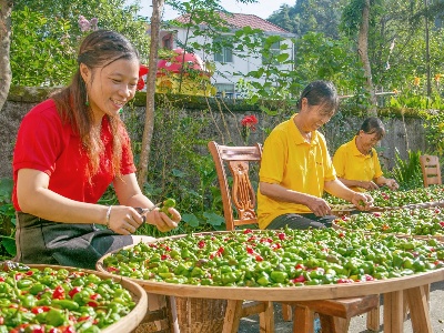 赣水谣网民拍 | 剪秋