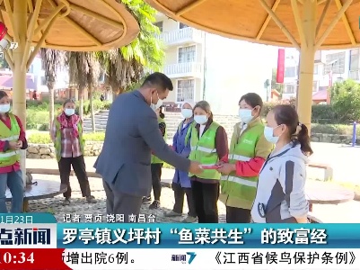 罗亭镇义坪村“鱼菜共生”的致富经