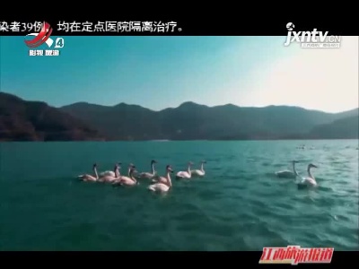 江西旅游报道20211116