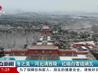 整点新闻20211110 16:00
