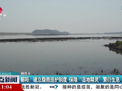 鄱阳：建立麋鹿巡护制度 保障“湿地精灵”繁衍生息