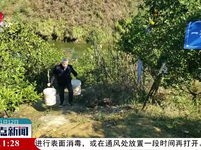 神奇！一棵树结十种果实