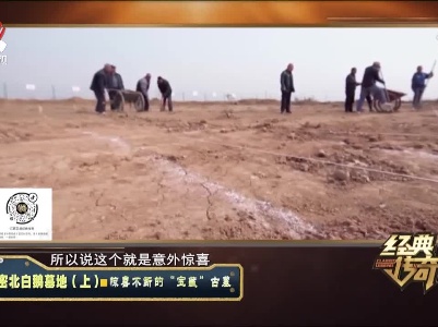 经典传奇20211130 解密北白鹅墓地（上）·惊喜不断的“宝藏”古墓