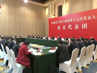 【作示范 勇争先 奋力书写精彩华章】庄兆林参加省直代表团讨论