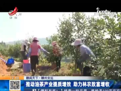 【赣闻天下】赣州安远：推动油茶产业提质增效 助力林农致富增收