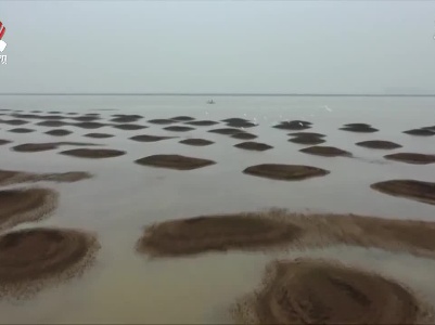 鄱阳湖进入枯水期