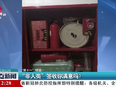 “双十一”快递：“非人类”签收你满意吗？