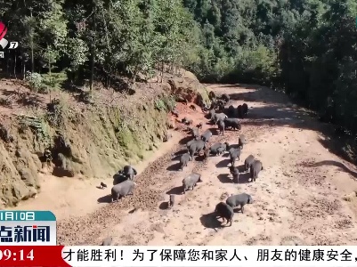 赣州：多举措抵御寒潮 保障农业生产