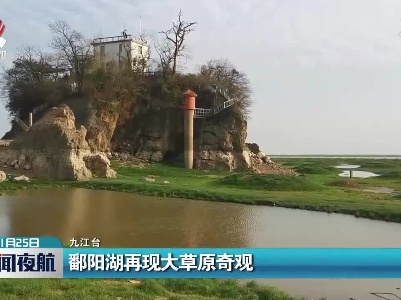 鄱阳湖再现大草原奇观