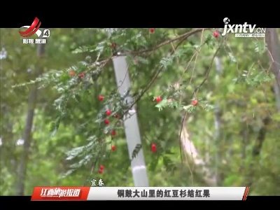 江西旅游报道20211125