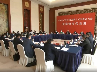 【作示范 勇争先 奋力书写精彩华章】姚增科参加景德镇市代表团讨论