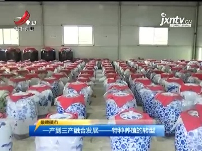 三农要闻20211122
