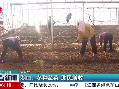 湖口：冬种蔬菜 助民增收