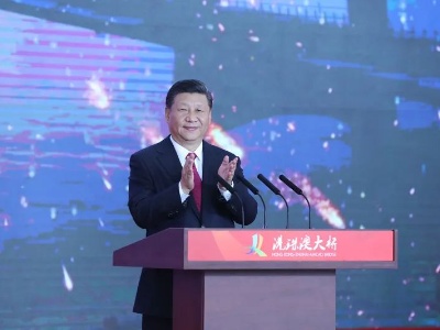 是种好自家“一亩三分地”，还是大家抱成团朝着顶层设计的目标一起做？