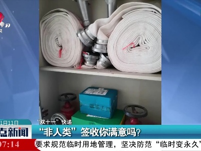 “双十一”快递：“非人类”签收你满意吗？