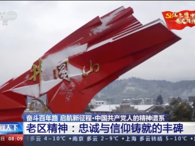 【奋斗百年路 启航新征程·中国共产党人的精神谱系】老区精神：忠诚与信仰铸就的丰碑