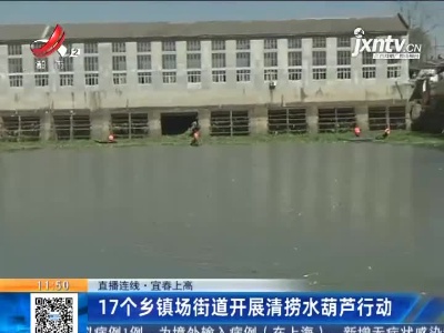 【直播连线】宜春上高：17个乡镇场街道开展清捞水葫芦行动