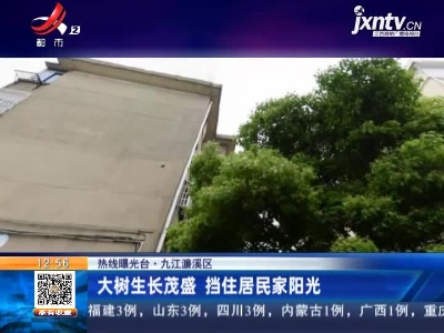 【热线曝光台】九江濂溪区：大树生长茂盛 挡住居民家阳光