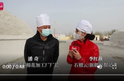 新疆国泰棉花加工厂厂长潘奇：新疆棉花不缺订单！