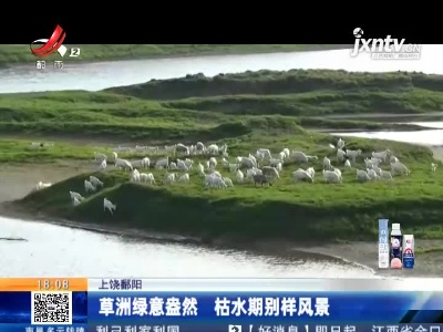 上饶鄱阳：草洲绿意盎然 枯水期别样风景