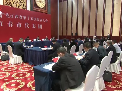 【作示范 勇争先 奋力书写精彩华章】梁桂参加宜春市代表团讨论