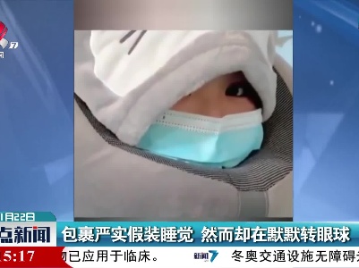 包裹严实假装睡觉 然而却在默默转眼球