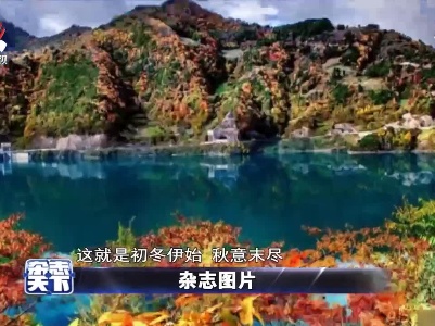 杂志天下20211112