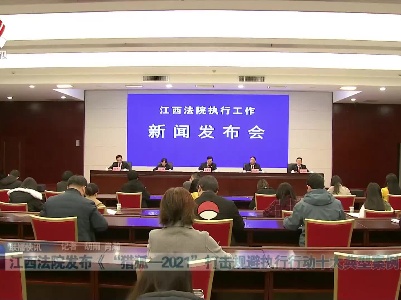 江西法院发布《“猎狐—2021”打击规避执行行动十大典型案例》