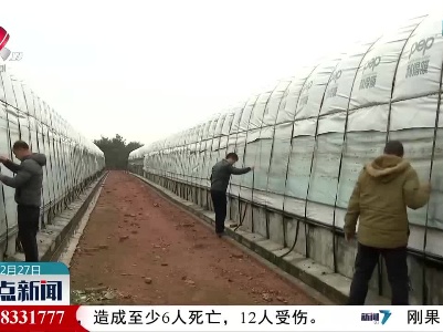 【寒潮来袭】万安：为150万羽“鸭子”送“暖”