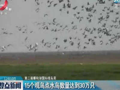 【第二届鄱阳湖国际观鸟周】15个观鸟点水鸟数量达到30万只