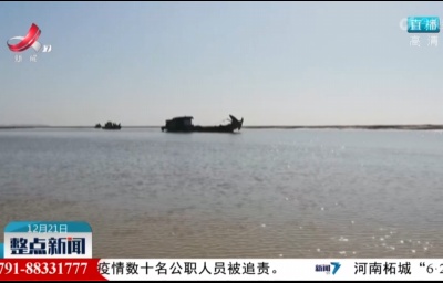 整点新闻20211221 16:00