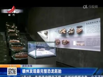 赣州发现最完整恐龙胚胎