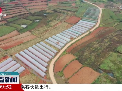 整点新闻20211228 16:00