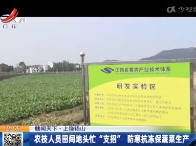 【赣闻天下】上饶铅山：农技人员田间地头忙“支招” 防寒抗冻保蔬菜生产