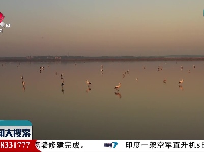 新闻大搜索20211208
