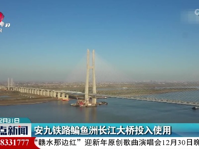 安九铁路鳊鱼洲长江大桥投入使用